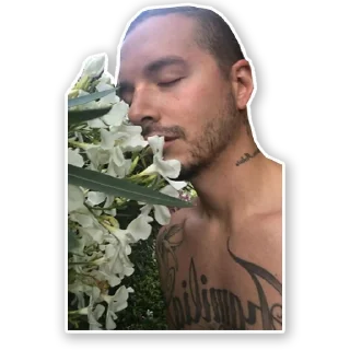 🌺