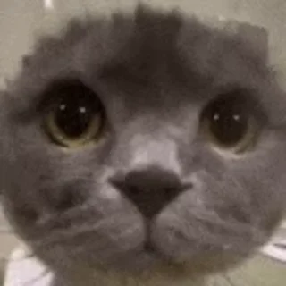 👀