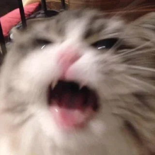 😠