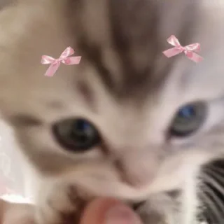 🎀