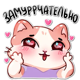 ✨Котики-Медики✨