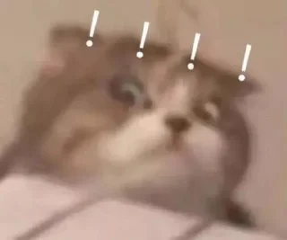 🤪