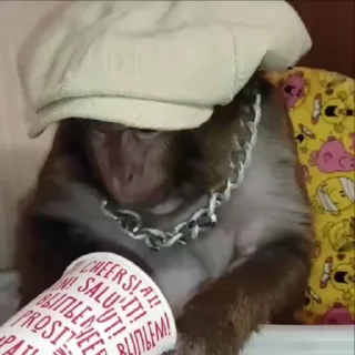 🌟