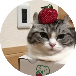 🍓