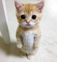 😭