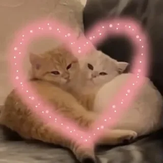 💘