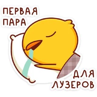 😴