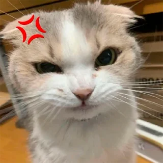 🥴
