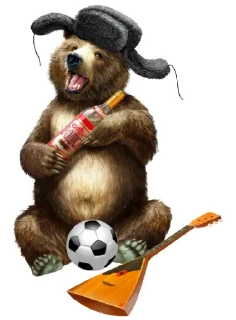 🐻