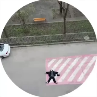 🌟