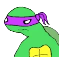 🐢