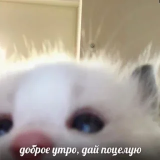 🥱