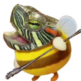 🐢