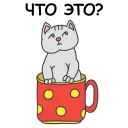🐱