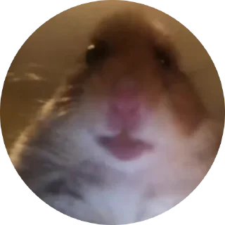 😶