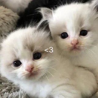 ❤️
