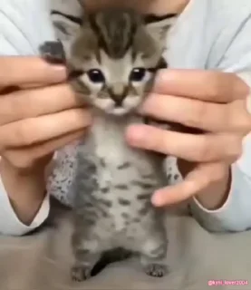 😊