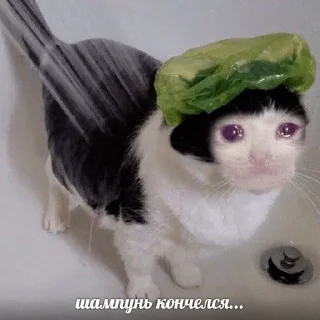 😭