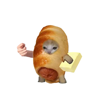 🌭