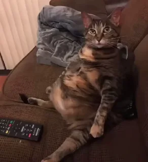 🤨