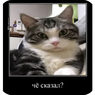 😡