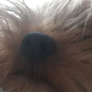 🙂