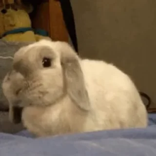 🧍‍♀️