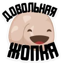 😂
