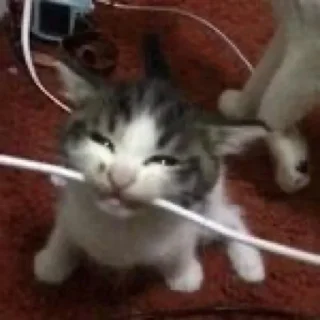 🤐