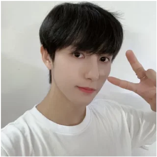 ✌