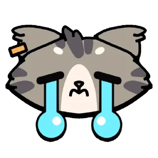 😿