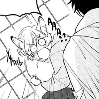 🦊