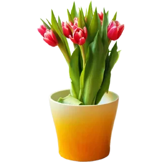 💐
