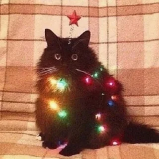 🎄