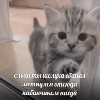 🤬