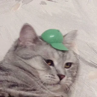 😢