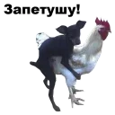 🐓