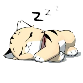 💤
