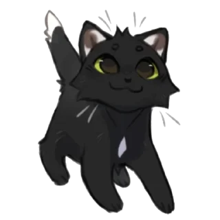 🐱