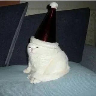 🎅