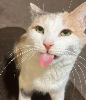 😛
