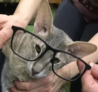 🤓