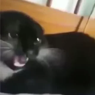 😂