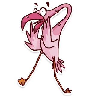 🦩