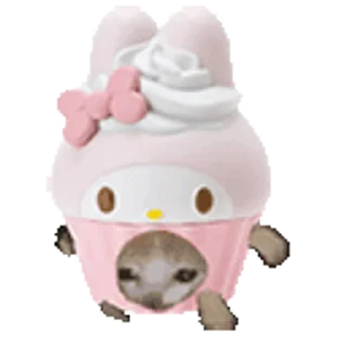 🐈