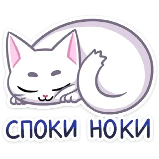 😴