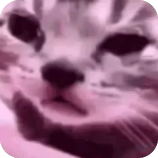 😢