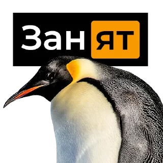 🐧