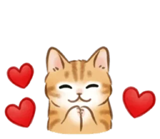 🐱