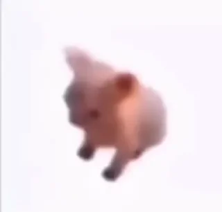 🥳